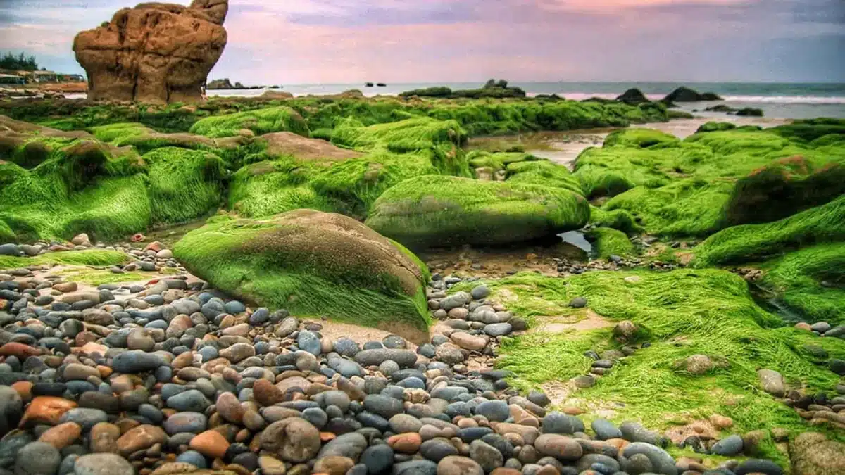 bãi đá cổ thạch