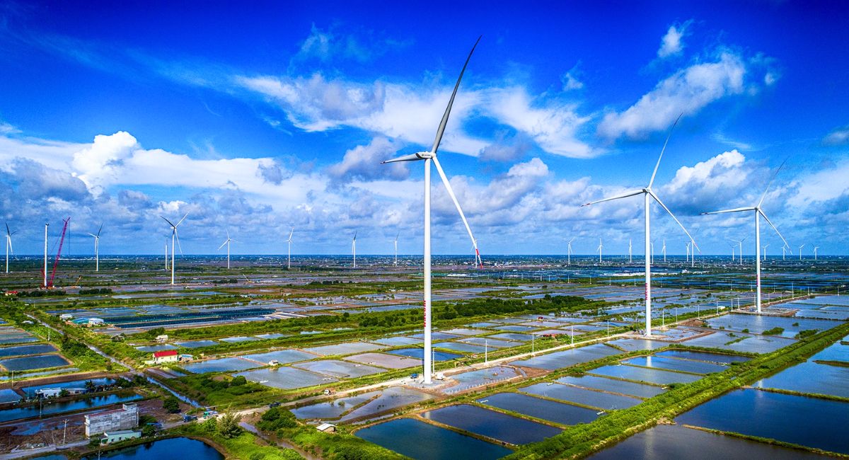 Cánh đồng quạt gió