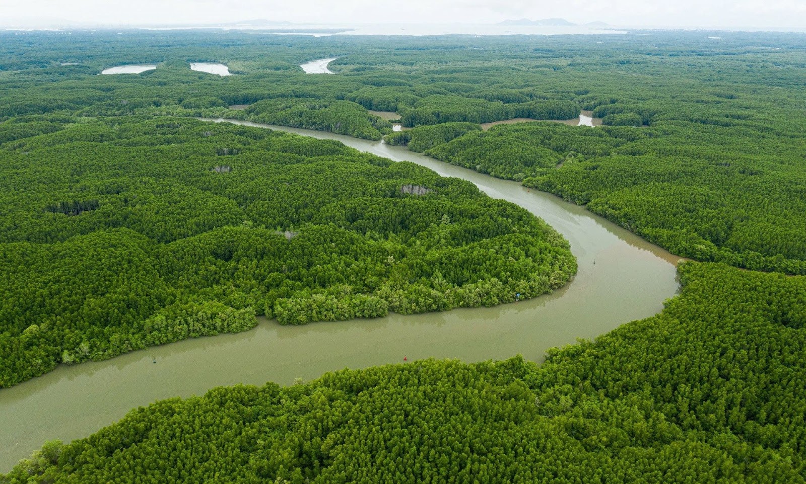 Du Lịch Cần Giờ
