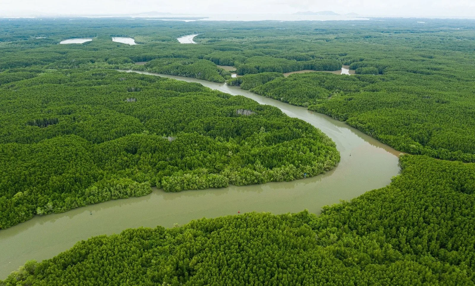 Du Lịch Cần Giờ