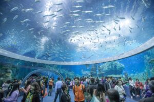 Thuê xe 7 chỗ đi Nha Trang