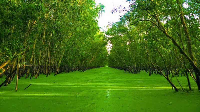 Thuê xe đi Long Xuyên An Giang
