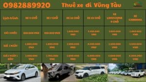 Giá thuê xe đi vũng tàu có tài xế