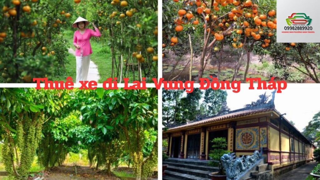 Thuê xe đi Lai Vung