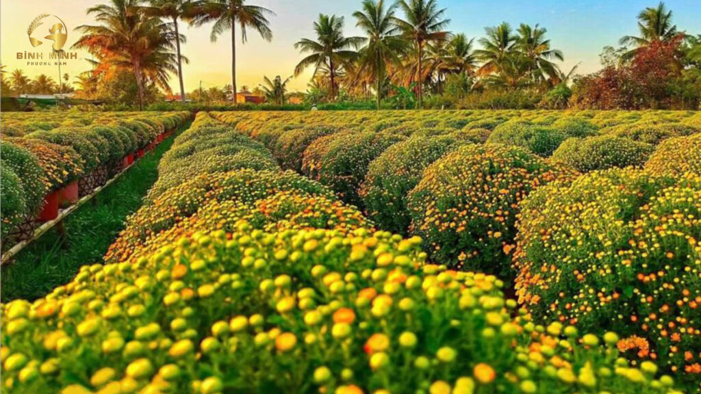 Thuê xe đi Sa Đéc Đông Tháp