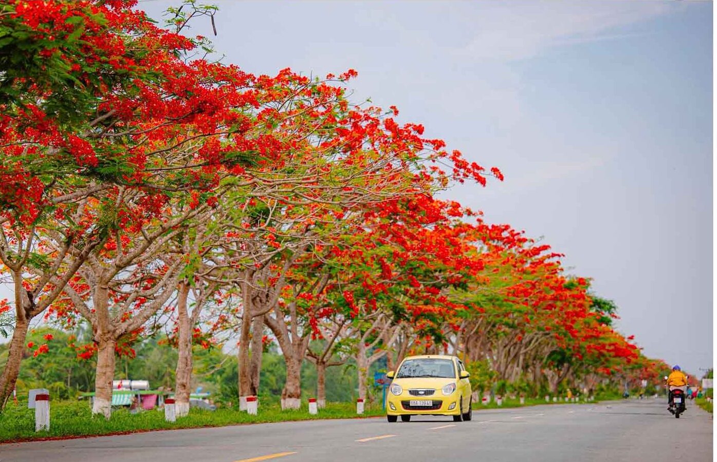 Du Lịch Lấp Vò