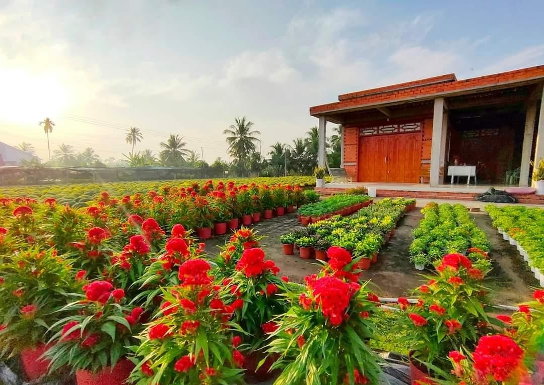 Làng hoa kiểng Cái Mơn