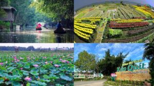 Thuê xe đi Tháp Mười Đồng Tháp