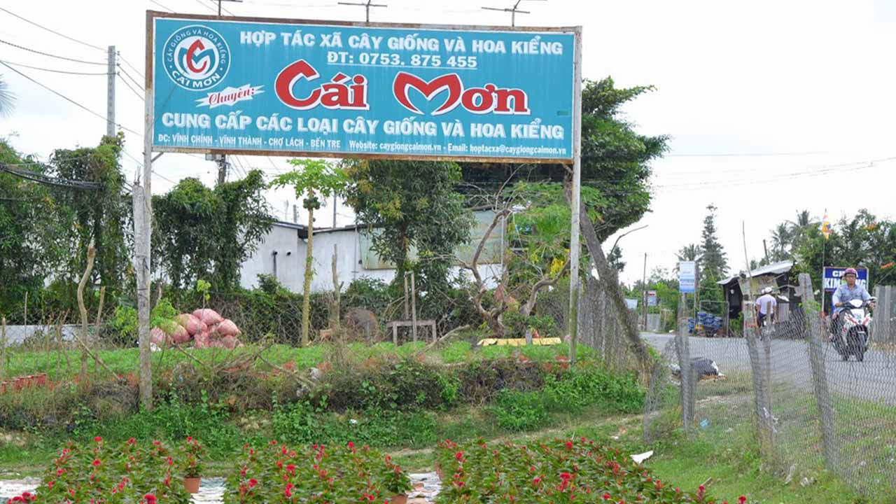 Vườn cây ăn trái Chợ Lách
