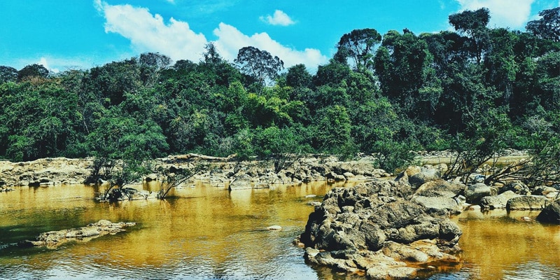 Khu Du Lịch Nam Cát Tiên