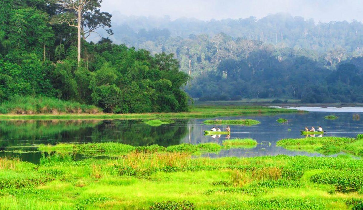 Khu du lịch Suối Mơ