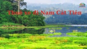 Thuê xe đi Nam Cát Tiên