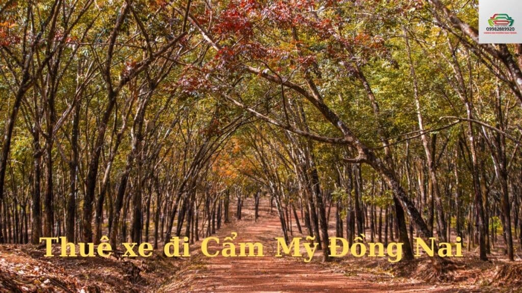 Thuê xe đi Cẩm Mỹ Đồng Nai