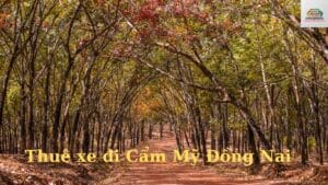 Thuê xe đi Cẩm Mỹ Đồng Nai