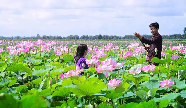 du lịch Long An