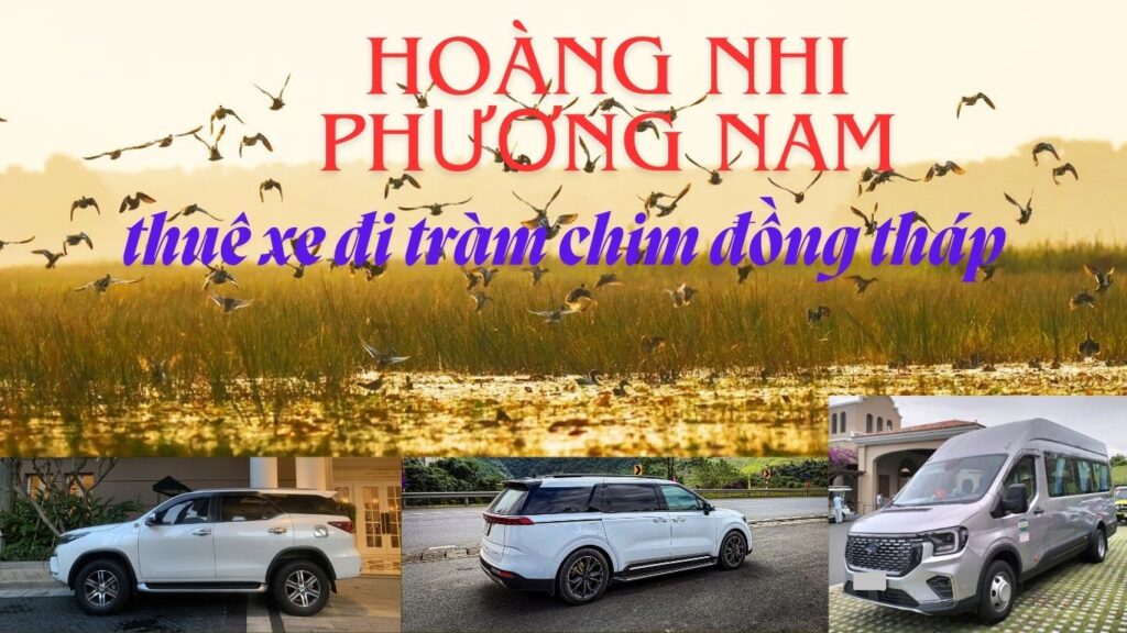 thuê xe đi tràm chim đồng tháp