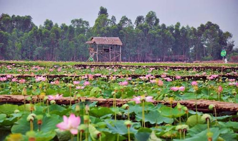 Thuê xe đi Đồng Sen Đồng Tháp